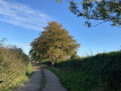 High Lees Farm, Kirstead Green, Kirstead, Norwich, NR15