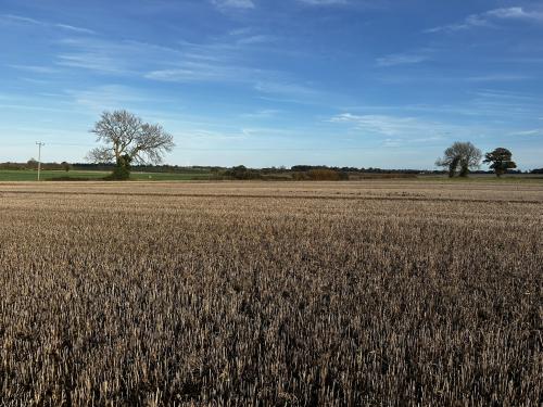 Lot 4 - Manor Farm, Staithe Road, Repps with Bastwick, Great Yarmouth, NR29
