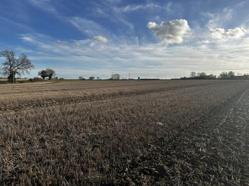 Lot 4 - Manor Farm, Staithe Road, Repps with Bastwick, Great Yarmouth, NR29