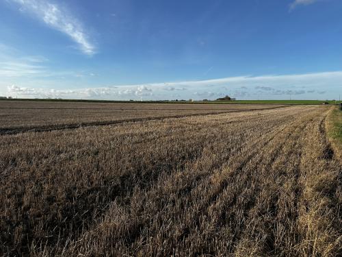 Lot 4 - Manor Farm, Staithe Road, Repps with Bastwick, Great Yarmouth, NR29