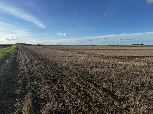 Lot 4 - Manor Farm, Staithe Road, Repps with Bastwick, Great Yarmouth, NR29