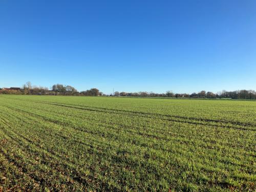 47.32 Acres, Tivetshall St. Margaret, Norwich, NR15