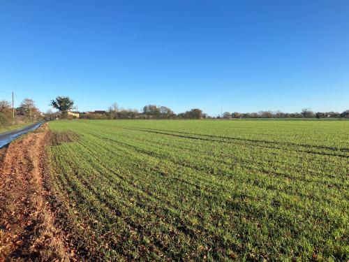 47.32 Acres, Tivetshall St. Margaret, Norwich, NR15