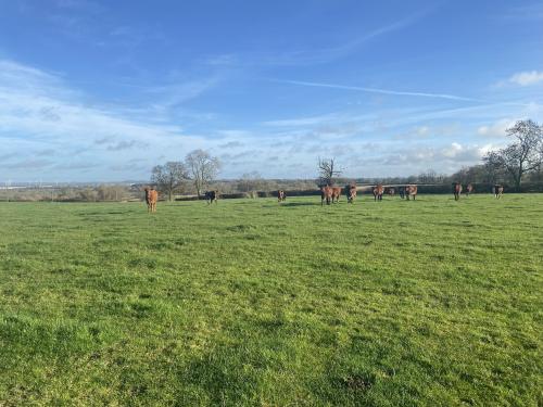 46.75 Lot 1, The Ridgeway, Barby, Rugby, CV23