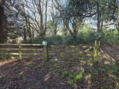 1.317 Acres, Chalket Lane, Pembury, Tunbridge Wells, TN2