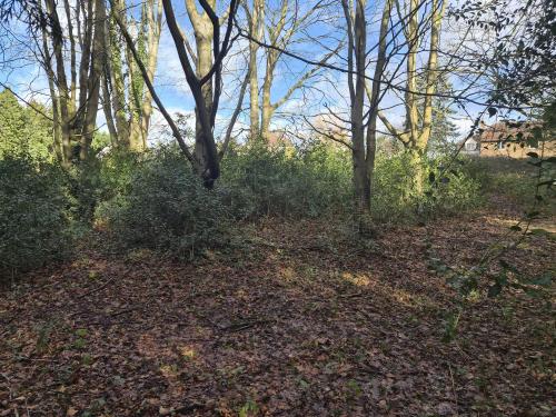 1.317 Acres, Chalket Lane, Pembury, Tunbridge Wells, TN2
