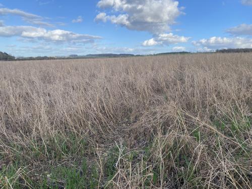 29.98 Acres Lot 3, Off Leafield Road & Charlbury Road, Shipton-under-Wychwood, OX7
