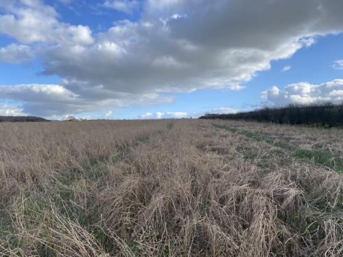 29.98 Acres Lot 3, Off Leafield Road & Charlbury Road, Shipton-under-Wychwood, OX7