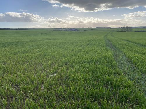 27.75 Acres Lot 2, Off Leafield Road & Charlbury Road, Shipton-under-Wychwood, OX7