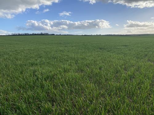 27.75 Acres Lot 2, Off Leafield Road & Charlbury Road, Shipton-under-Wychwood, OX7