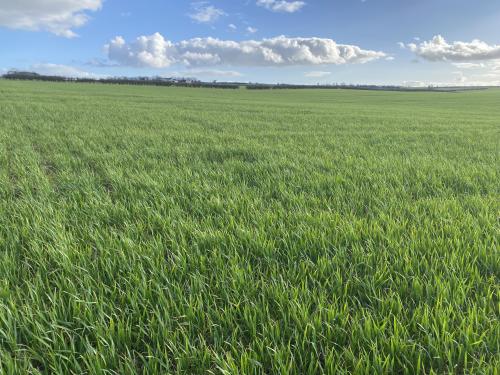 27.75 Acres Lot 2, Off Leafield Road & Charlbury Road, Shipton-under-Wychwood, OX7