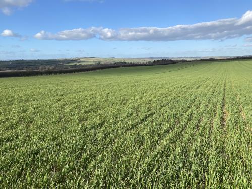 30.08 Acres Lot 1, Off Leafield Road & Charlbury Road, Shipton-under-Wychwood, OX7