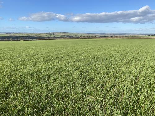 30.08 Acres Lot 1, Off Leafield Road & Charlbury Road, Shipton-under-Wychwood, OX7