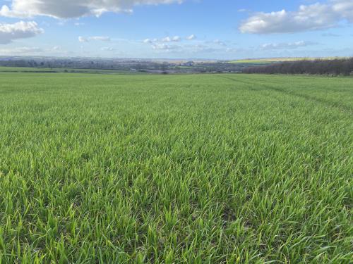 87.81 Acres, Off Leafield Road & Charlbury Road, Shipton-under-Wychwood, OX7