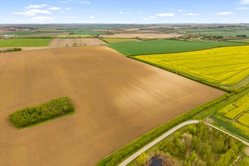 29.69 Acres, Poolham Lane, Poolham, Horncastle, LN9