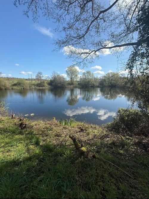 Danbury Lake, Off Sporhams Lane, Danbury, Chelmsford, CM3
