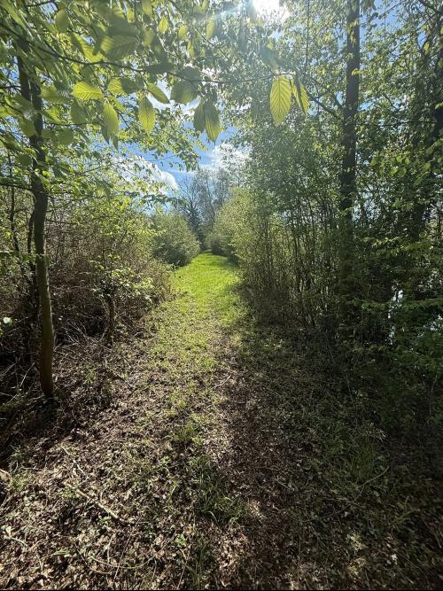 Danbury Lake, Off Sporhams Lane, Danbury, Chelmsford, CM3