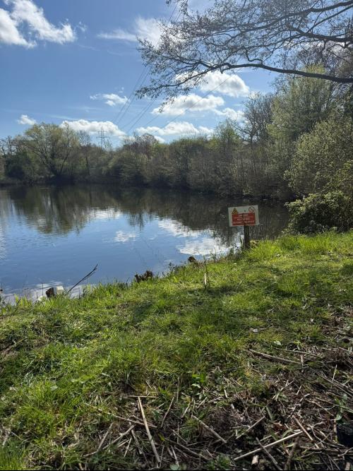 Danbury Lake, Off Sporhams Lane, Danbury, Chelmsford, CM3