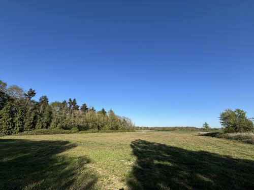Agricultural Land & Buildings At, Freewood Street, Bradfield St. George, Bury St. Edmunds, IP30