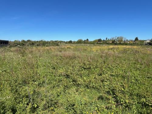 Plot 3, Captains Wood Road, Great Totham, Maldon, CM9