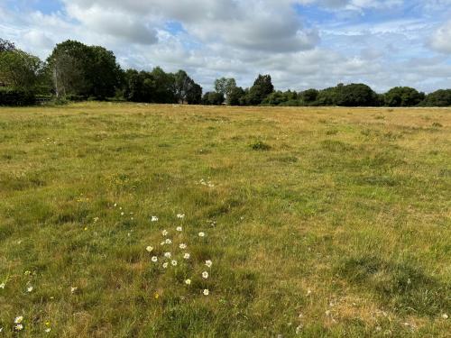 Blandys Lane, Upper Basildon, Reading, RG8