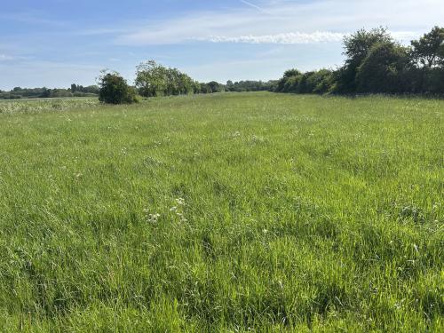 Gringley-on-the-Hill, Doncaster, DN10