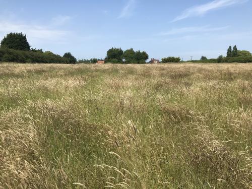 Goxhill Road, Barrow-Upon-Humber, DN19
