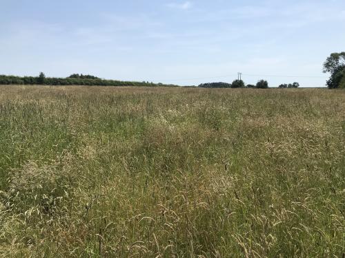 Goxhill Road, Barrow-Upon-Humber, DN19