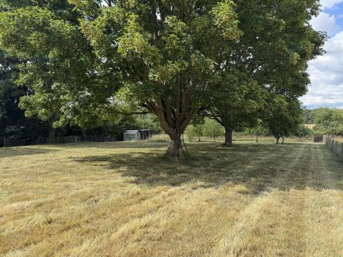 Buckle Cottage, Puddledock, Attleborough, NR17