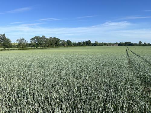 29.7 Acres Lot 2, Waters Lane, Middleton Cheney, OX17