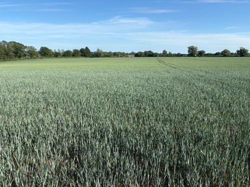 29.7 Acres Lot 2, Waters Lane, Middleton Cheney, OX17
