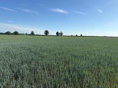 29.7 Acres Lot 2, Waters Lane, Middleton Cheney, OX17