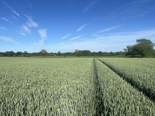Lots 1 & 2, Waters Lane, Middleton Cheney, OX17