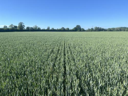 Lots 1 & 2, Waters Lane, Middleton Cheney, OX17