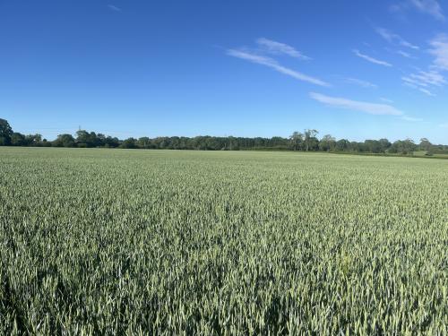 Lots 1 & 2, Waters Lane, Middleton Cheney, OX17