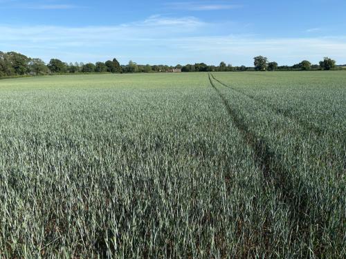 Lots 1 & 2, Waters Lane, Middleton Cheney, OX17