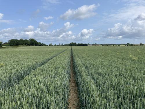 Land At Skeyton & Tuttington, Skeyton, North Walsham, Norwich, NR10