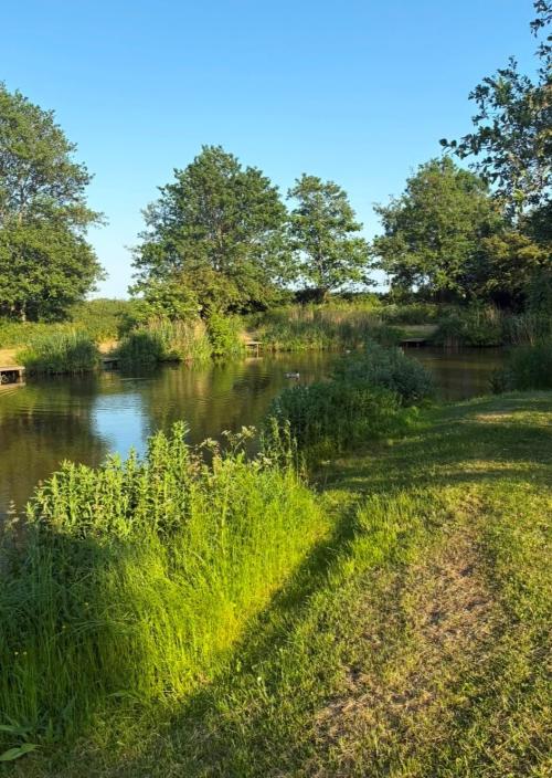 Green Lane Ponds, Greens Lane, Lydiate, Liverpool, L31