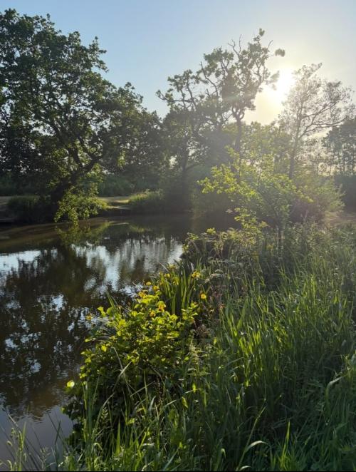 Green Lane Ponds, Greens Lane, Lydiate, Liverpool, L31