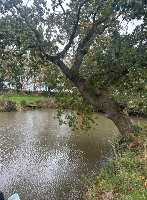 Green Lane Ponds, Greens Lane, Lydiate, Liverpool, L31