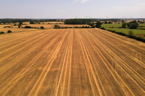111.59 Acres White Lodge Farm, Rushton, NN14
