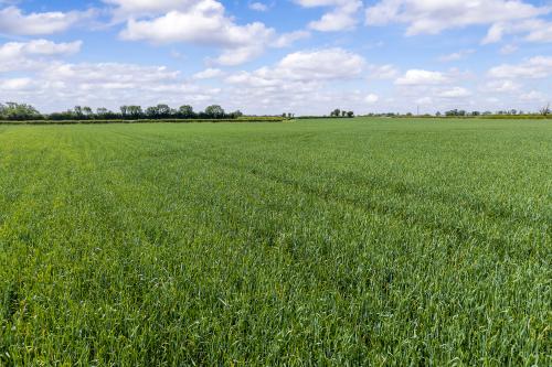 14.66 Acres, Rampton Lane, South Leverton, Retford, DN22