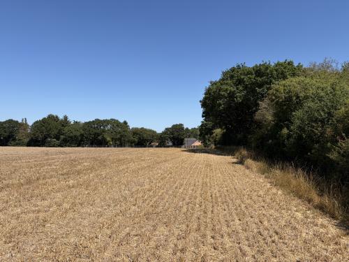 11.22 Acres Lot 2, Ringland Lane, Costessey, Norwich, NR8