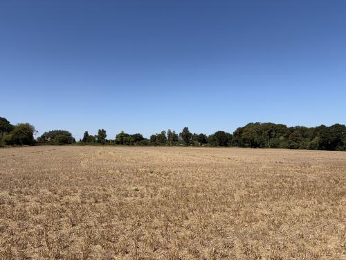 11.22 Acres Lot 2, Ringland Lane, Costessey, Norwich, NR8