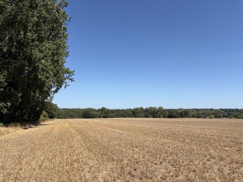 48 Acres Lot 1, Ringland Lane, Costessey, Norwich, NR8