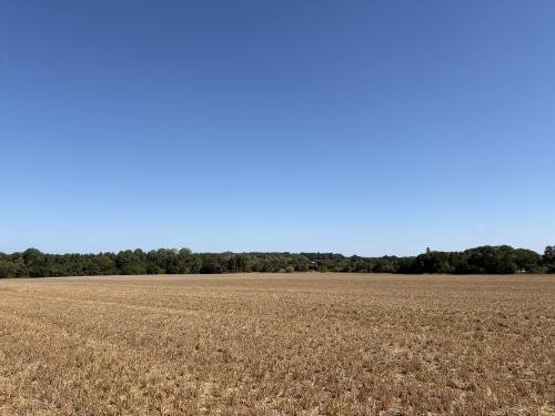 48 Acres Lot 1, Ringland Lane, Costessey, Norwich, NR8