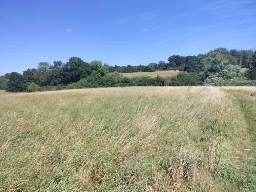 Park Gate, Wing, Leighton Buzzard, LU7