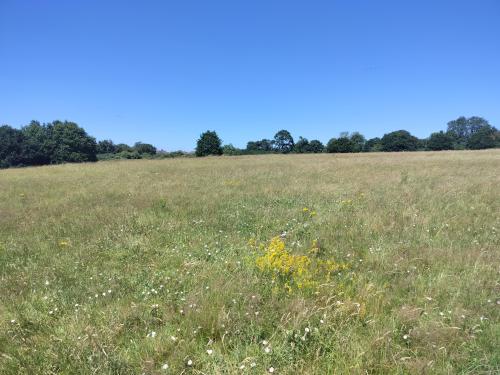 Park Gate, Wing, Leighton Buzzard, LU7