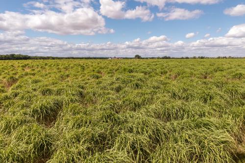 112.24 Acres, Hardwick Lane, Saxilby, Lincoln, LN1