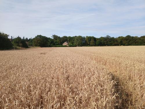17.06 Acres, Heath Lane, Lenwade, Norwich, NR9